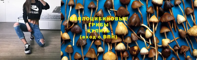 Псилоцибиновые грибы Magic Shrooms  Опочка 